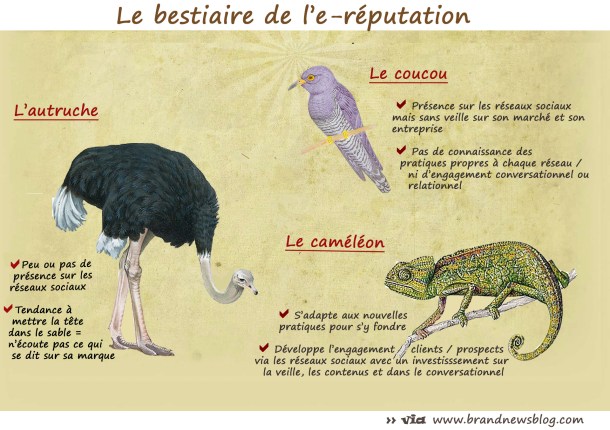 best2 copie